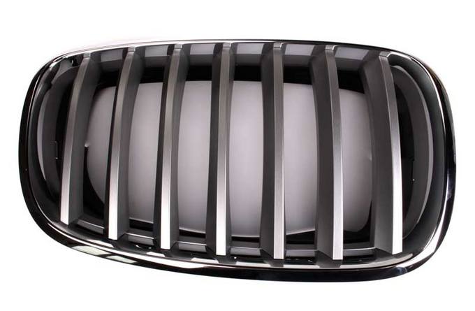 BMW Kidney Grille - Passenger Side (Titanium) 51137185224